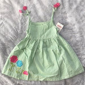 NWT Gymboree 3-6 Mos Seersucker Dress Turtle